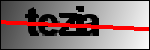 متن برای شناسایی